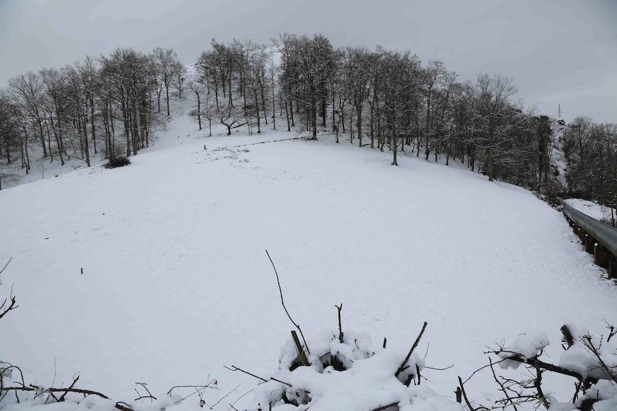 El concejo de Amieva se encuentra cubierto de un manto blanco tras las últimas nevadas, que dejan estas imágenes