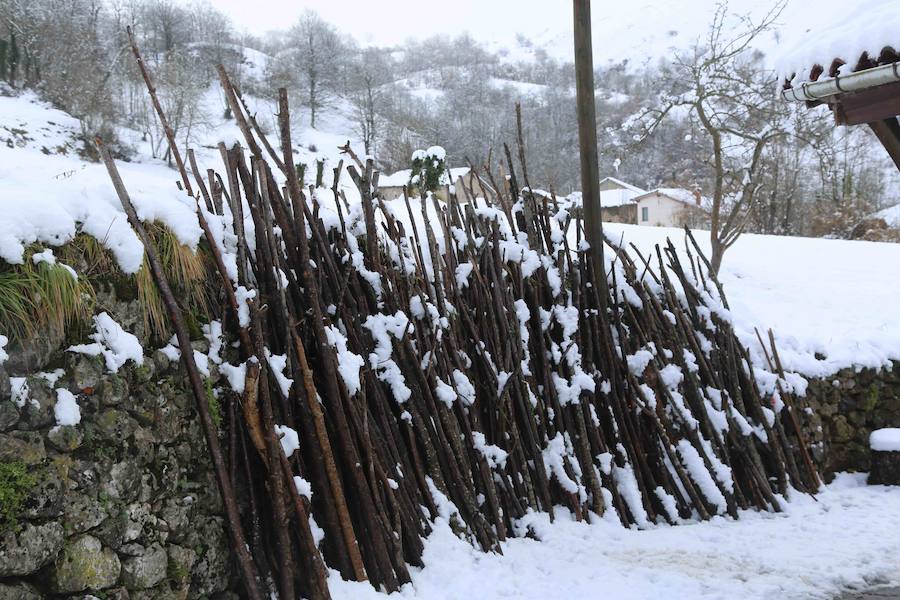El concejo de Amieva se encuentra cubierto de un manto blanco tras las últimas nevadas, que dejan estas imágenes