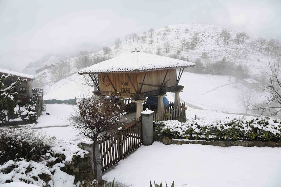 El concejo de Amieva se encuentra cubierto de un manto blanco tras las últimas nevadas, que dejan estas imágenes