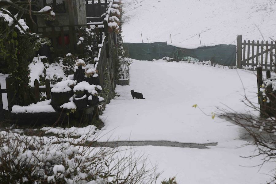 El concejo de Amieva se encuentra cubierto de un manto blanco tras las últimas nevadas, que dejan estas imágenes