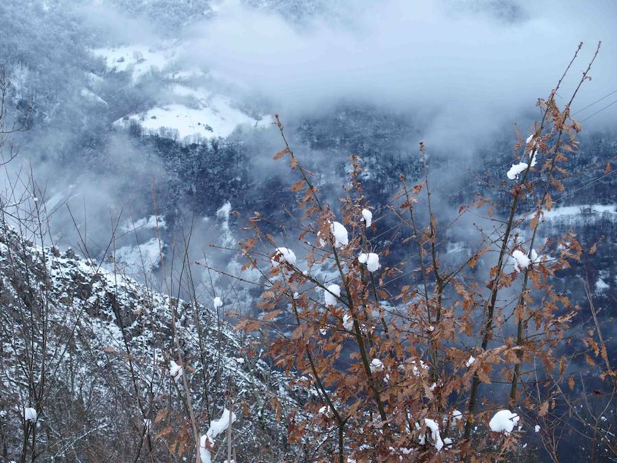 El concejo de Amieva se encuentra cubierto de un manto blanco tras las últimas nevadas, que dejan estas imágenes