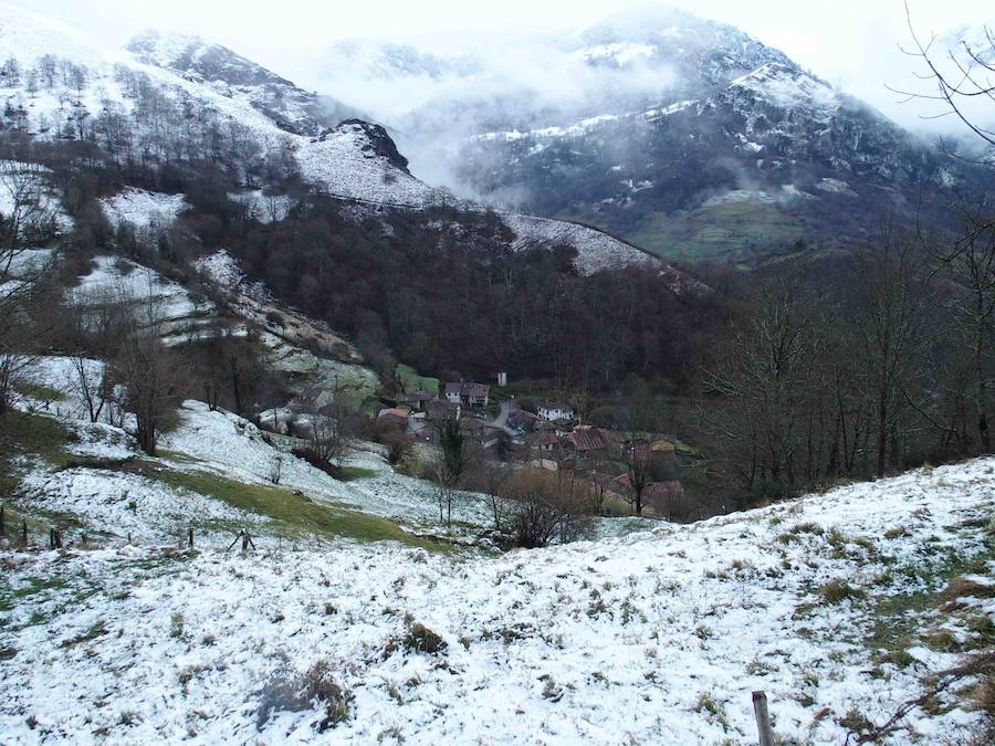 El concejo de Amieva se encuentra cubierto de un manto blanco tras las últimas nevadas, que dejan estas imágenes