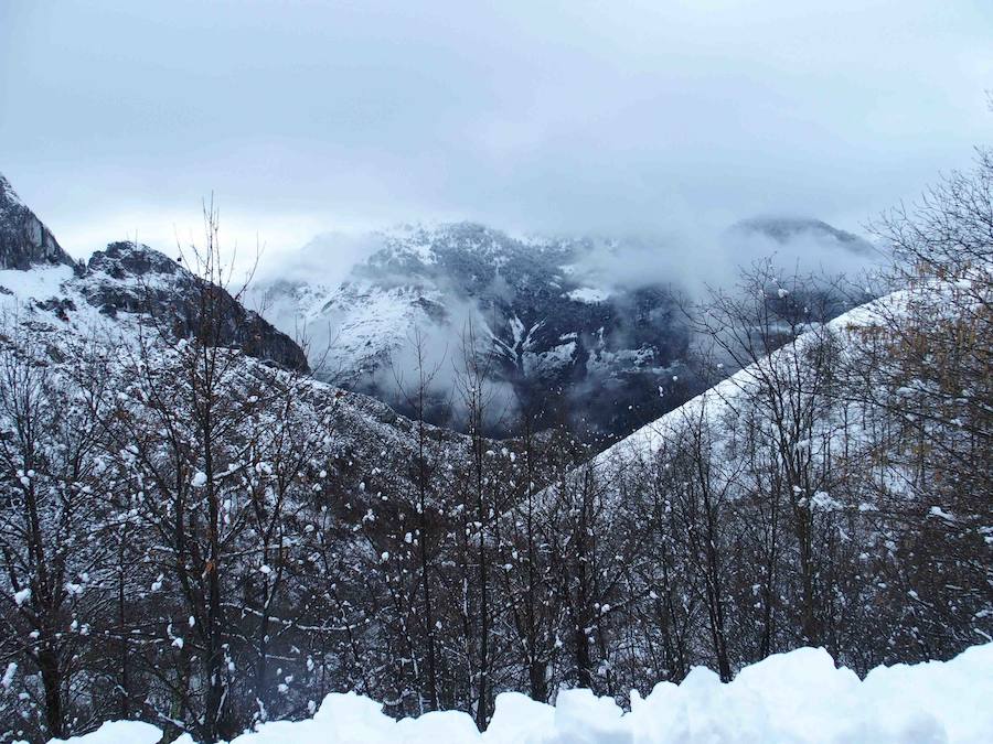 El concejo de Amieva se encuentra cubierto de un manto blanco tras las últimas nevadas, que dejan estas imágenes
