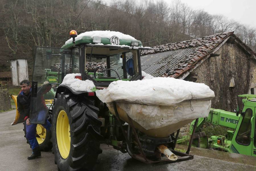 El concejo de Amieva se encuentra cubierto de un manto blanco tras las últimas nevadas, que dejan estas imágenes