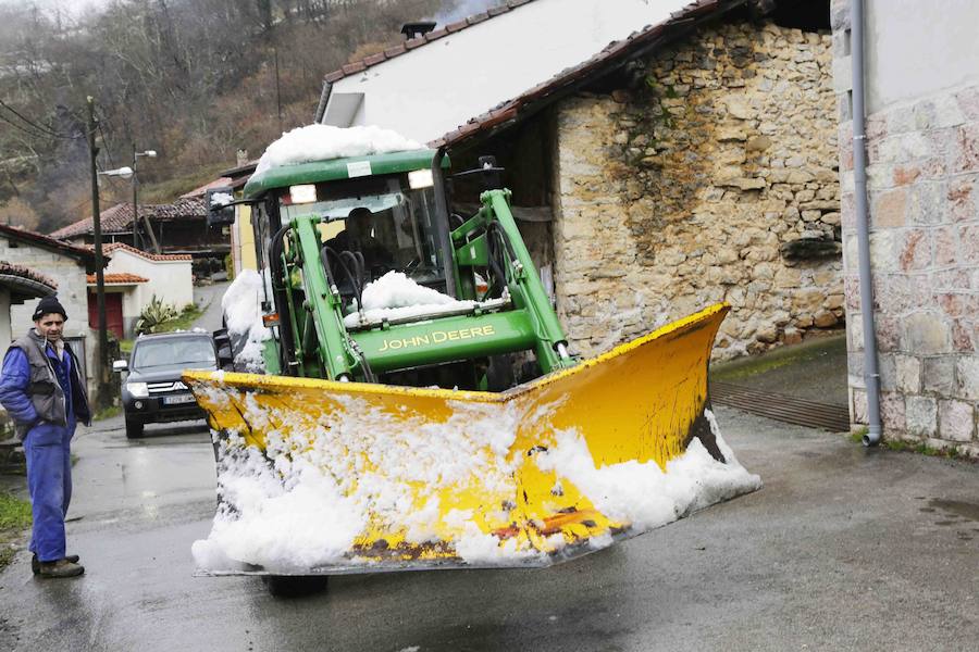 El concejo de Amieva se encuentra cubierto de un manto blanco tras las últimas nevadas, que dejan estas imágenes