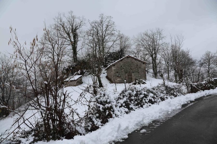 El concejo de Amieva se encuentra cubierto de un manto blanco tras las últimas nevadas, que dejan estas imágenes