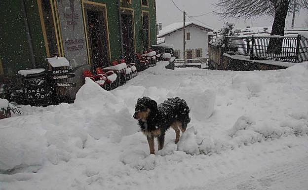 Galería. La nieve cubre el concejo de Ponga.