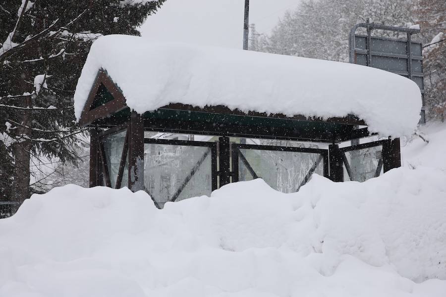 La llegada de un nuevo frente frío mantiene gran parte de Asturias bajo un manto blanco. Además de la nieve, la caída de árboles está complicando la circulación en varias carreteras de la región. 