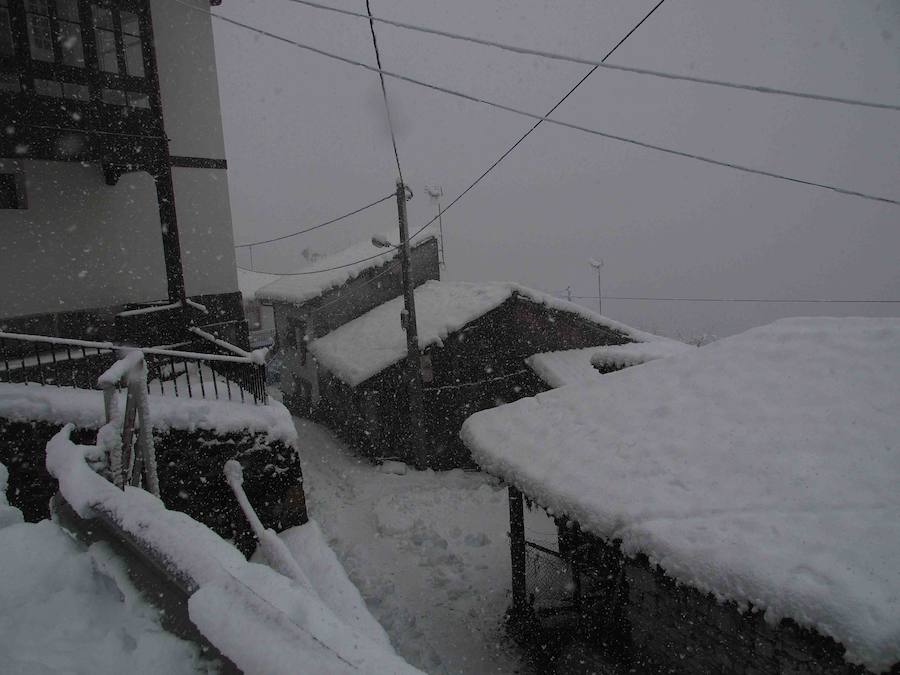 Los vecinos del Ponga hacen frente al invierno que ha vuelto a teñir de blanco el concejo. El concejo está rodeado de riscos y hayedos y es una de las poblaciones que se encuentran a mayor altura sobre el nivel del mar