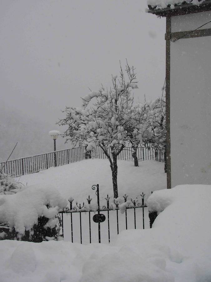 Los vecinos del Ponga hacen frente al invierno que ha vuelto a teñir de blanco el concejo. El concejo está rodeado de riscos y hayedos y es una de las poblaciones que se encuentran a mayor altura sobre el nivel del mar