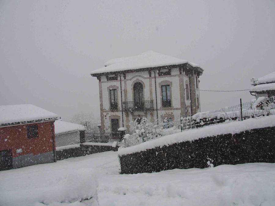 Los vecinos del Ponga hacen frente al invierno que ha vuelto a teñir de blanco el concejo. El concejo está rodeado de riscos y hayedos y es una de las poblaciones que se encuentran a mayor altura sobre el nivel del mar