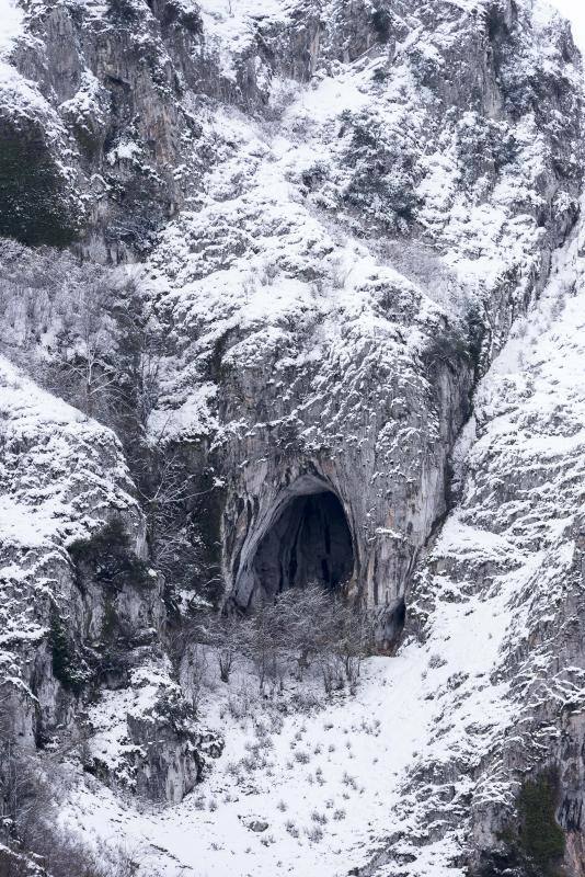 El Naranco cubierto de nieve se ha convertido en toda una atracción para muchos vecinos de Oviedo, que no han dudado en acercarse a disfrutar de la estampa. Otros puntos como Afilorios o Pedrovieya también se han cubierto de nieve. 