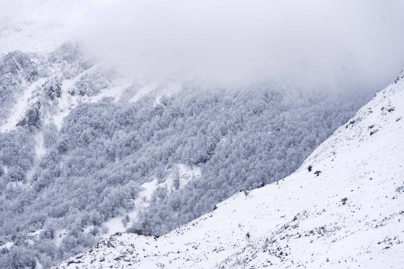 El Naranco cubierto de nieve se ha convertido en toda una atracción para muchos vecinos de Oviedo, que no han dudado en acercarse a disfrutar de la estampa. Otros puntos como Afilorios o Pedrovieya también se han cubierto de nieve. 