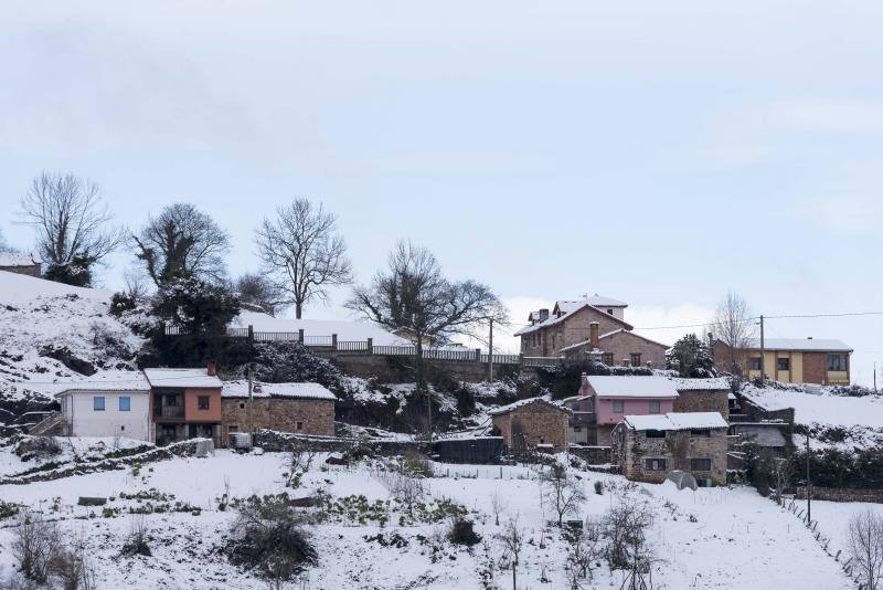 Los concejos del Suroccidente y los Valles Mineros son los más afectados por las intensas nevadas de los últimos días que, no obstante, han hecho acto de presencia en cotas más bajas.