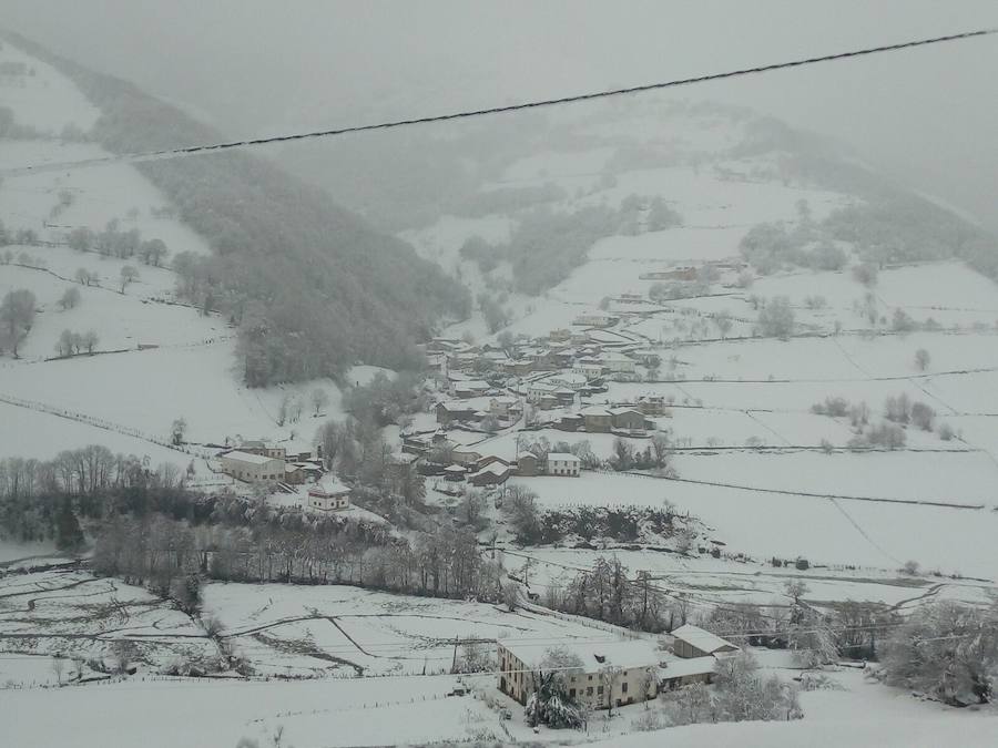 La nieve ha cubierto de un manto blanco gran parte del Suroccidente de Asturias, donde ha dejado importantes problemas en comunicaciones e infraestructuras eléctricas. Una de las vías con mayores complicaciones es el puerto de Leitariegos, en Cangas del Narcea.