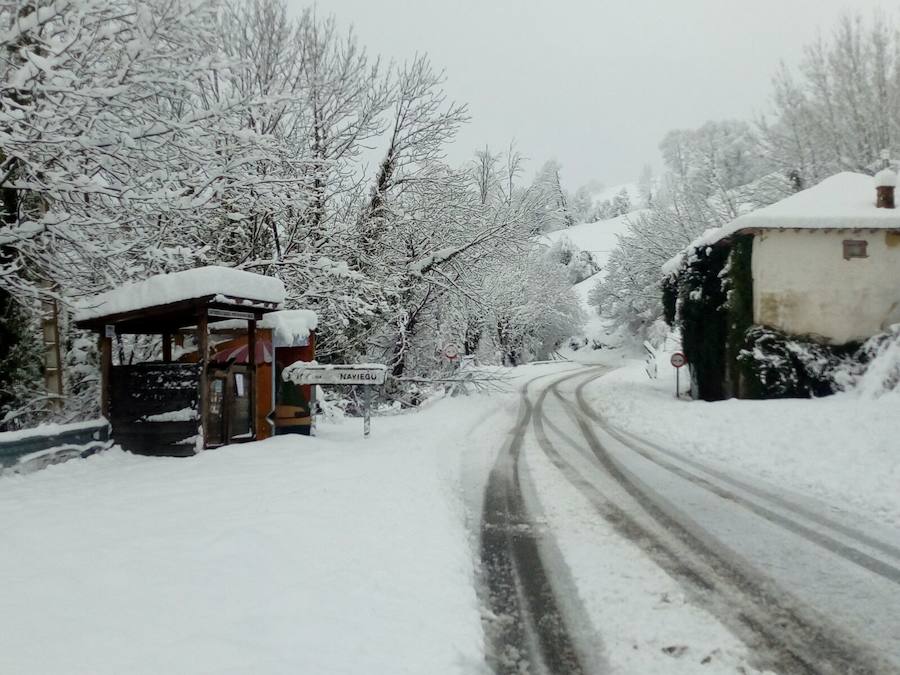 La nieve ha cubierto de un manto blanco gran parte del Suroccidente de Asturias, donde ha dejado importantes problemas en comunicaciones e infraestructuras eléctricas. Una de las vías con mayores complicaciones es el puerto de Leitariegos, en Cangas del Narcea.