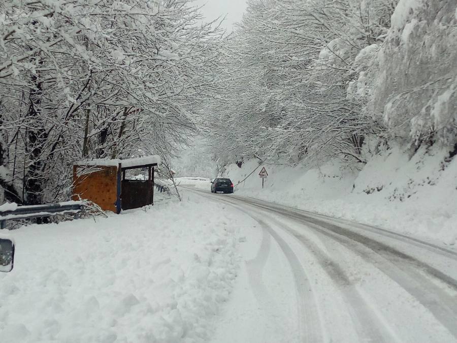 La nieve ha cubierto de un manto blanco gran parte del Suroccidente de Asturias, donde ha dejado importantes problemas en comunicaciones e infraestructuras eléctricas. Una de las vías con mayores complicaciones es el puerto de Leitariegos, en Cangas del Narcea.