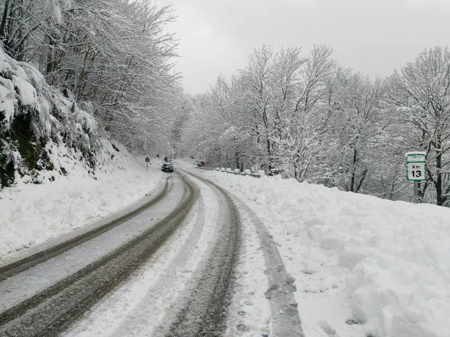 La nieve ha cubierto de un manto blanco gran parte del Suroccidente de Asturias, donde ha dejado importantes problemas en comunicaciones e infraestructuras eléctricas. Una de las vías con mayores complicaciones es el puerto de Leitariegos, en Cangas del Narcea.