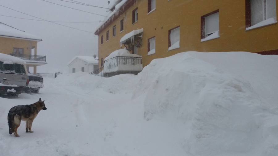 La nieve ha cubierto de un manto blanco gran parte del Suroccidente de Asturias, donde ha dejado importantes problemas en comunicaciones e infraestructuras eléctricas. Una de las vías con mayores complicaciones es el puerto de Leitariegos, en Cangas del Narcea.