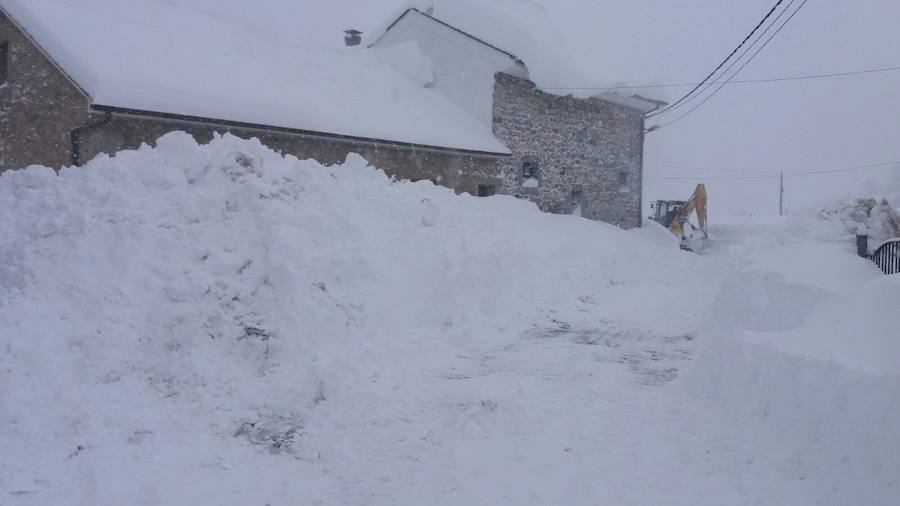 La nieve ha cubierto de un manto blanco gran parte del Suroccidente de Asturias, donde ha dejado importantes problemas en comunicaciones e infraestructuras eléctricas. Una de las vías con mayores complicaciones es el puerto de Leitariegos, en Cangas del Narcea.