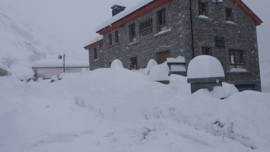 La nieve ha cubierto de un manto blanco gran parte del Suroccidente de Asturias, donde ha dejado importantes problemas en comunicaciones e infraestructuras eléctricas. Una de las vías con mayores complicaciones es el puerto de Leitariegos, en Cangas del Narcea.