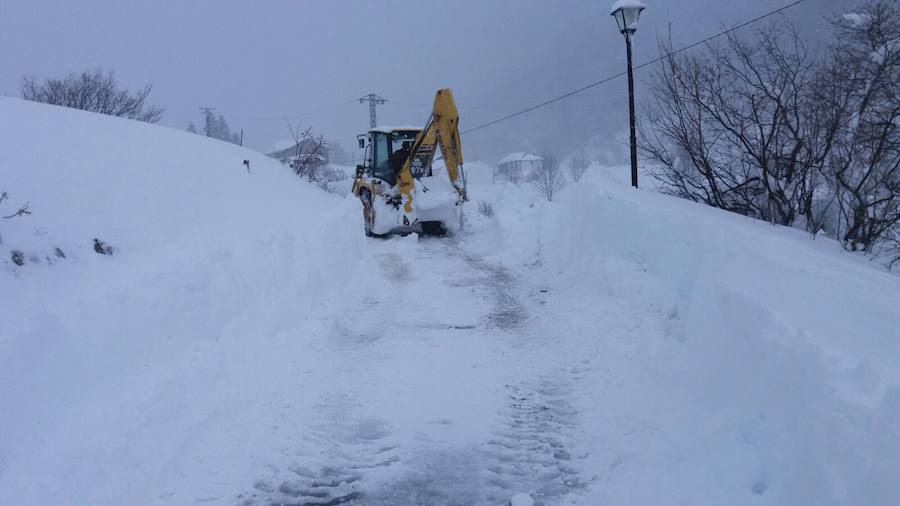 La nieve ha cubierto de un manto blanco gran parte del Suroccidente de Asturias, donde ha dejado importantes problemas en comunicaciones e infraestructuras eléctricas. Una de las vías con mayores complicaciones es el puerto de Leitariegos, en Cangas del Narcea.