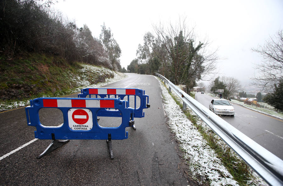 El Naranco cubierto de nieve se ha convertido en toda una atracción para muchos vecinos de Oviedo, que no han dudado en acercarse a disfrutar de la estampa. No obstante, el temporal también ha causado problemas en la capital asturiana, donde se han registrado varios argayos.