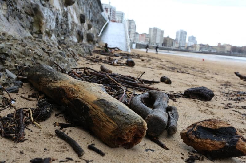 Acumulación de residuos en San Lorenzo, árboles destrozados y mucho frío. Son las consecuencias que ha dejado el temporal en Gijón.