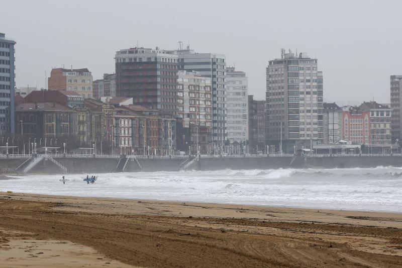 Acumulación de residuos en San Lorenzo, árboles destrozados y mucho frío. Son las consecuencias que ha dejado el temporal en Gijón.