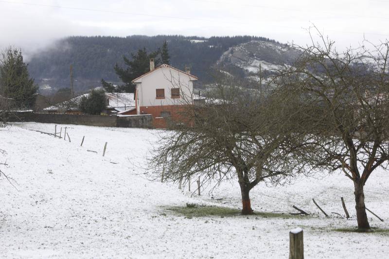 Los concejos del Suroccidente y los Valles Mineros son los más afectados por las intensas nevadas de los últimos días que, no obstante, han hecho acto de presencia en cotas más bajas.