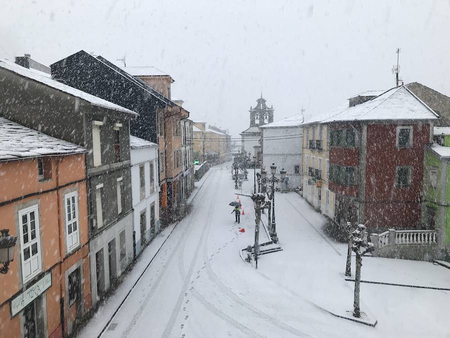 Oriente, Occidente, Valles Mineros... Incluso Oviedo ha vivido este miércoles una jornada marcada por las intensas precipitaciones en forma de nieve, que sigue cayendo en cotas bajas.