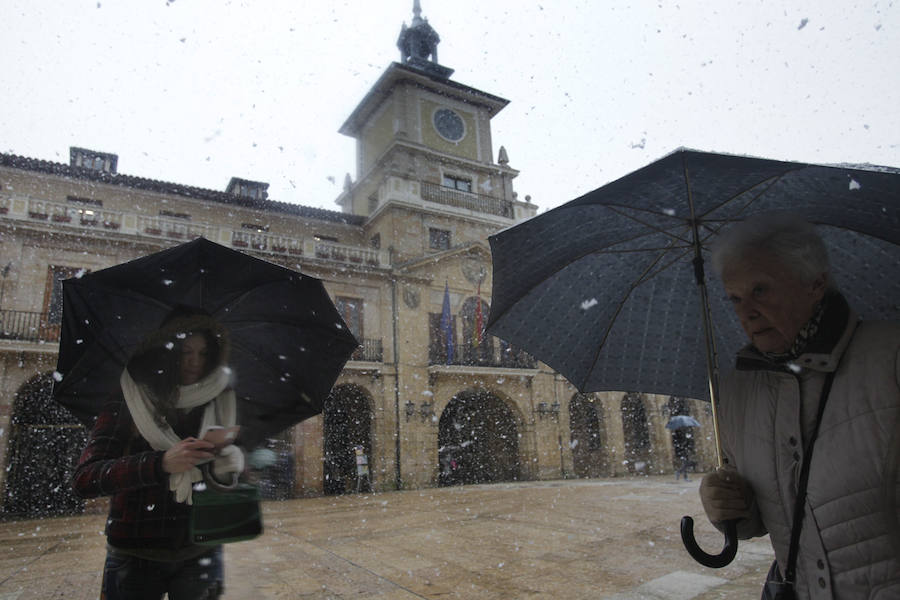 Oriente, Occidente, Valles Mineros... Incluso Oviedo ha vivido este miércoles una jornada marcada por las intensas precipitaciones en forma de nieve, que sigue cayendo en cotas bajas.