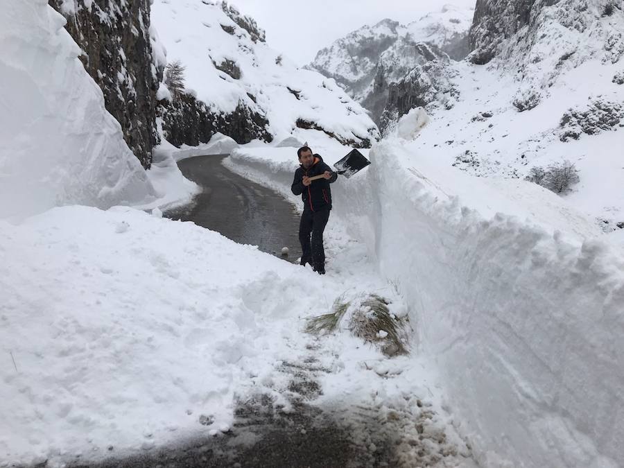 Oriente, Occidente, Valles Mineros... Incluso Oviedo ha vivido este miércoles una jornada marcada por las intensas precipitaciones en forma de nieve, que sigue cayendo en cotas bajas.