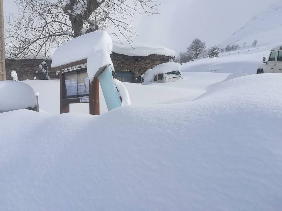 Oriente, Occidente, Valles Mineros... Incluso Oviedo ha vivido este miércoles una jornada marcada por las intensas precipitaciones en forma de nieve, que sigue cayendo en cotas bajas.