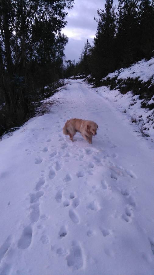 La cuenca media y alta del Navia y la comarca de los Oscos están cubiertas de un manto blanco. La nieve está dejando bellas estampas, pero está causando problemas en las comunicaciones y el suministro eléctrico.