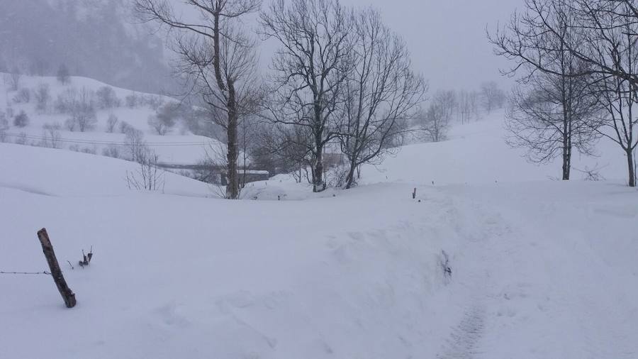 La cuenca media y alta del Navia y la comarca de los Oscos están cubiertas de un manto blanco. La nieve está dejando bellas estampas, pero está causando problemas en las comunicaciones y el suministro eléctrico.