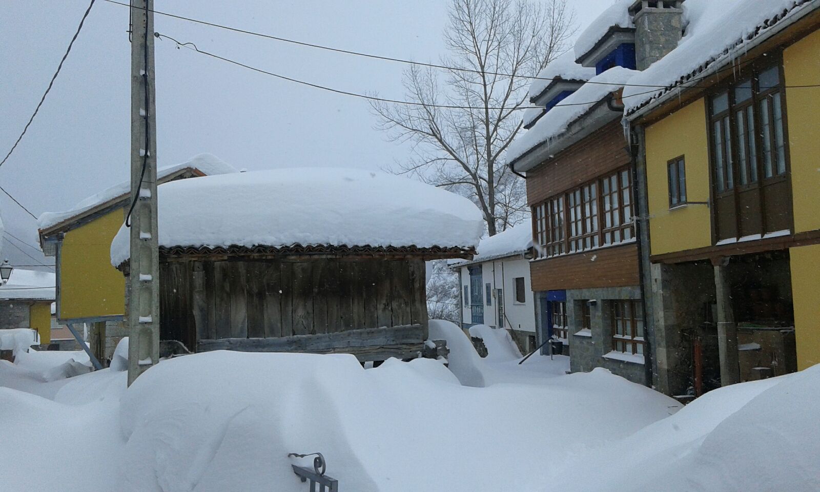 La cuenca media y alta del Navia y la comarca de los Oscos están cubiertas de un manto blanco. La nieve está dejando bellas estampas, pero está causando problemas en las comunicaciones y el suministro eléctrico.