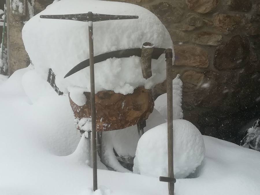 La cuenca media y alta del Navia y la comarca de los Oscos están cubiertas de un manto blanco. La nieve está dejando bellas estampas, pero está causando problemas en las comunicaciones y el suministro eléctrico.