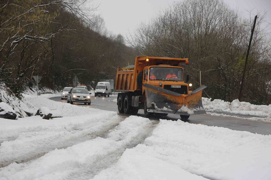 Oriente, Occidente, Valles Mineros... Incluso Oviedo ha vivido este miércoles una jornada marcada por las intensas precipitaciones en forma de nieve, que sigue cayendo en cotas bajas.