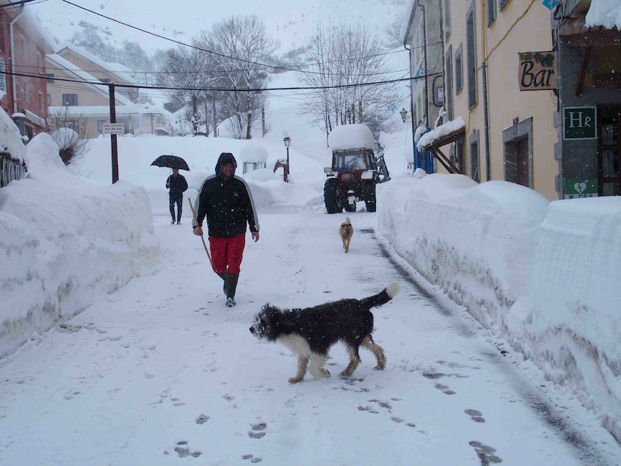 Más de un metro de nieve rodea el acceso de Sotres, en el concejo de Cabrales. El paso quedó cerrado ayer por aludes, cuyo riesgo de caída sigue siendo muy alto.