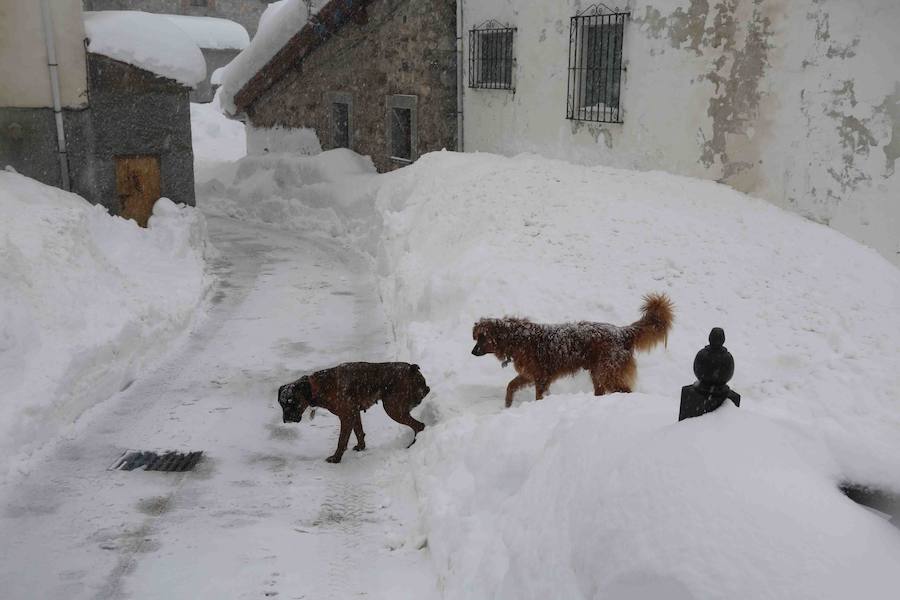 Más de un metro de nieve rodea el acceso de Sotres, en el concejo de Cabrales. El paso quedó cerrado ayer por aludes, cuyo riesgo de caída sigue siendo muy alto.