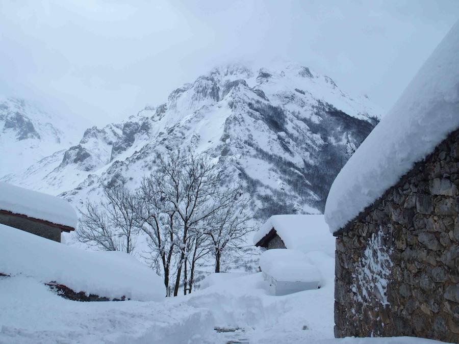 Más de un metro de nieve rodea el acceso de Sotres, en el concejo de Cabrales. El paso quedó cerrado ayer por aludes, cuyo riesgo de caída sigue siendo muy alto.