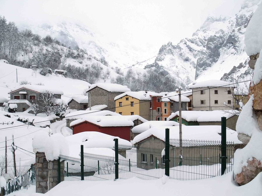 Más de un metro de nieve rodea el acceso de Sotres, en el concejo de Cabrales. El paso quedó cerrado ayer por aludes, cuyo riesgo de caída sigue siendo muy alto.