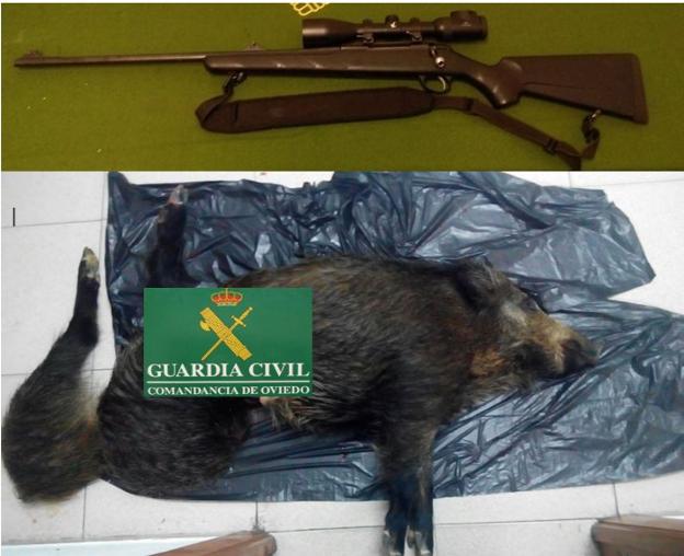 El arma intervenida y los animales hallados por la Guardia Civil. 