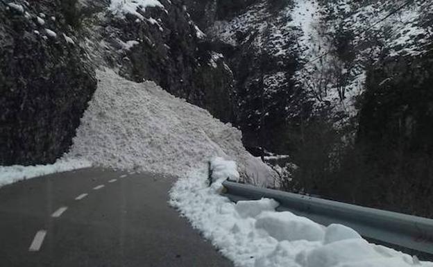 Espectacular avalancha de nieve en el desfiladero de los Beyos