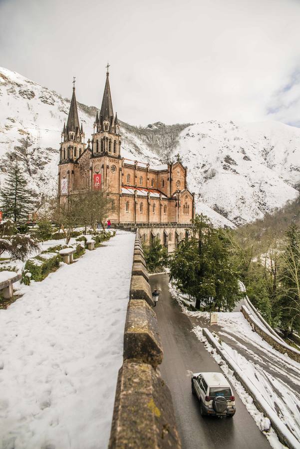 Las nevadas de los últimos días han llegado también hasta Covadonga que se ha cubierto de un manto blanco. Muchos turistas se han acercado hasta el Real Sitio para ver y fotografiar la estampa