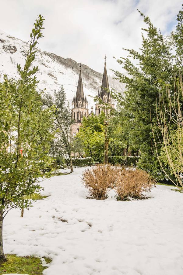 Las nevadas de los últimos días han llegado también hasta Covadonga que se ha cubierto de un manto blanco. Muchos turistas se han acercado hasta el Real Sitio para ver y fotografiar la estampa