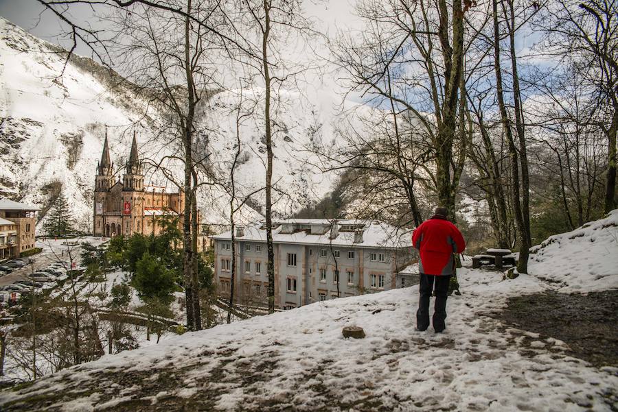 Las nevadas de los últimos días han llegado también hasta Covadonga que se ha cubierto de un manto blanco. Muchos turistas se han acercado hasta el Real Sitio para ver y fotografiar la estampa