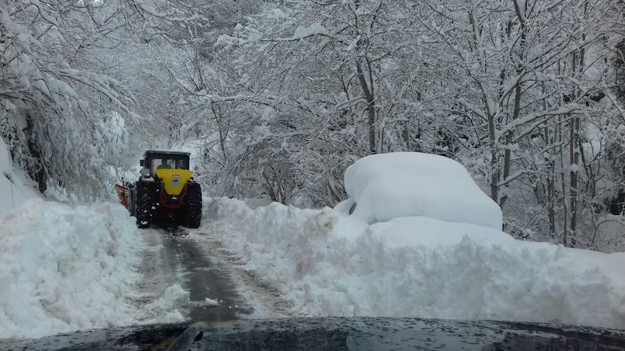 Imagen. Una máquina quitanieves se abre paso por un bosque nevado en La Felguerina. 