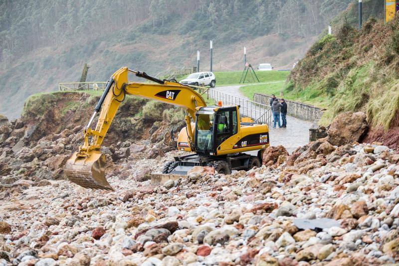 Técnicos de Cogersa estudian diferentes maneras de llevarse el cetáceo de 18 metros que apareció en el Arenal de Morís este miércoles